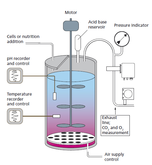 A schematic of the fermentor tank