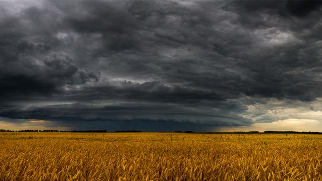 Dark clouds above a field