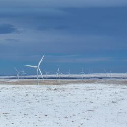 Winter Wind 2024