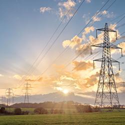 Electricity grid through a field at sunset