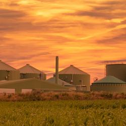 Biogas plant at sunset 