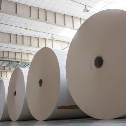 Paper rolls